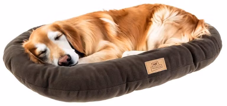 Ferplast, cuscino per cani e gatti RELAX in microfibra, cuccia calda e morbida