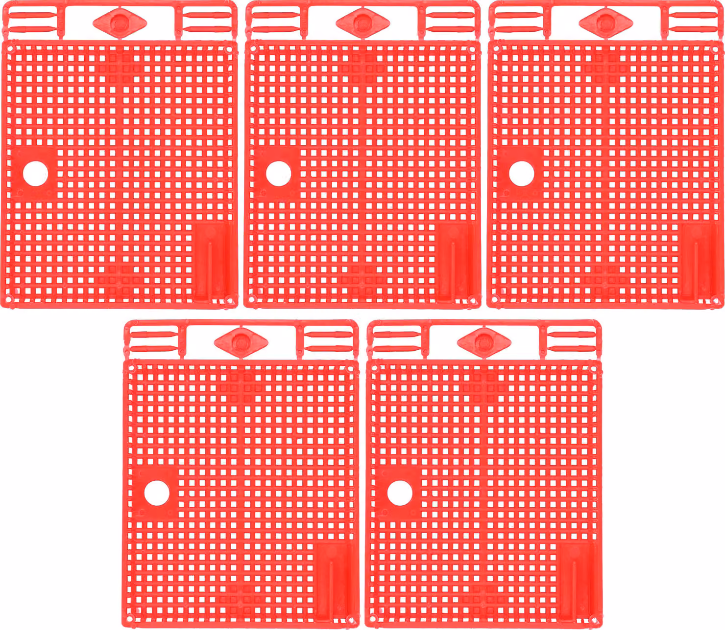 Esclusore di api regine, gabbia per api regine, isolatore di api regine, gabbia di introduzione di api regine, attrezzature per apicoltura, strumenti per apicoltura