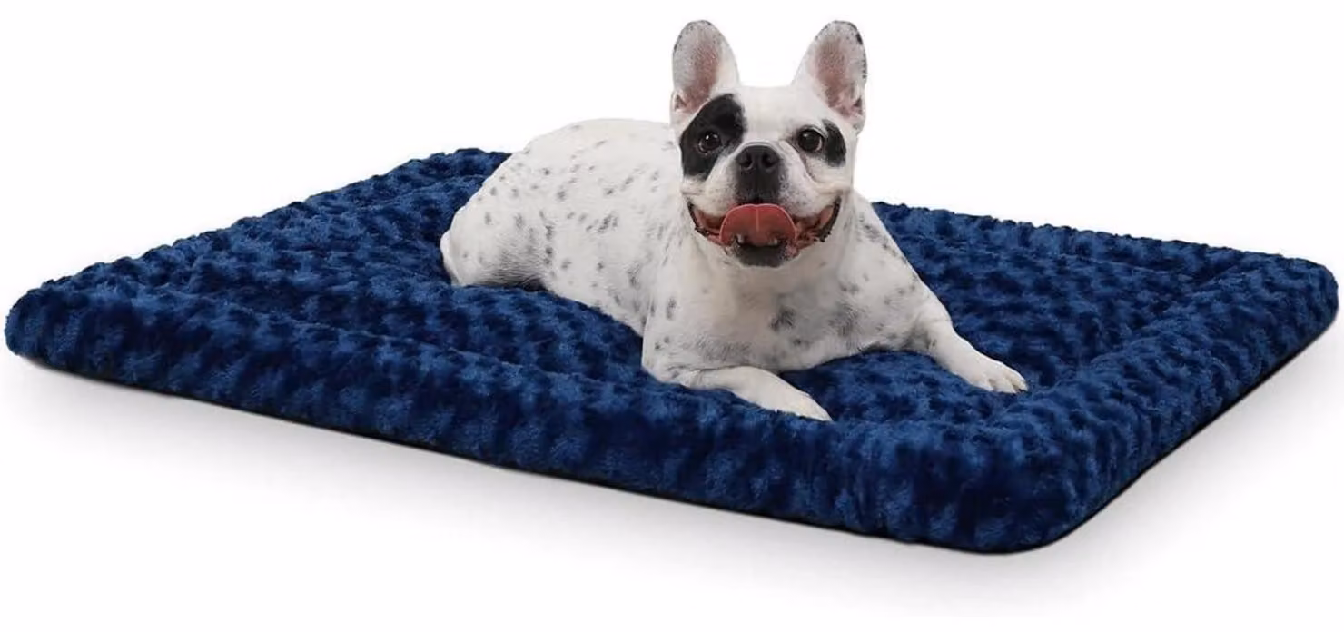 Tappetino lavabile per cani, dimensioni 91x58 cm, colore blu, realizzato in tessuto Oxford felpato, lavabile in lavatrice, adatto per tutto l'anno