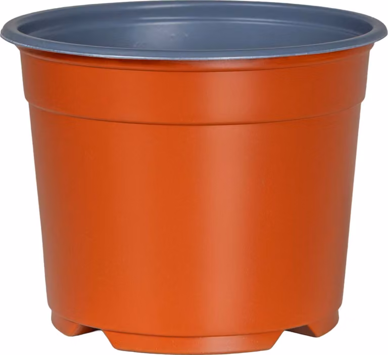 Vaso Rotondo per Fiori 50 pcs Terracotta Ø 10 x 8 cm Plastica