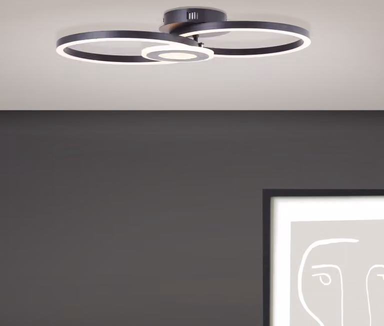 BRILLANTE plafoniera LED nera moderna Bray | elemento orientabile | bianco caldo | 24 Watt 2900 Lumen 3000 Kelvin | 30x52cm | metallo/plastica
