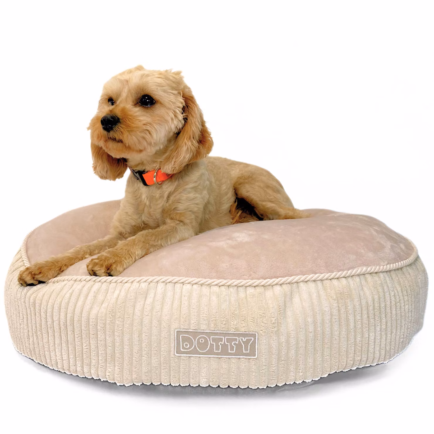 Accogliente letto in peluche Letto per cani Letto per gatti DOTTY - morbido cuscino rotondo in peluche per cani e gatti di piccola e media taglia Superficie di riposo M 60 cm