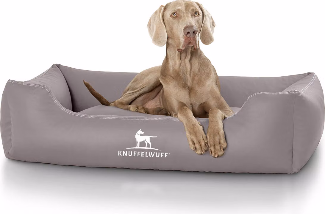 Cuccia per cani Sidney in Pelle finta XL grigio