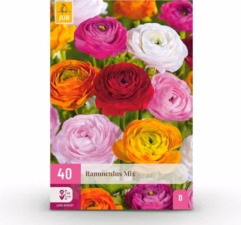 Bulbi da fiore - Miscela di Ranuncoli - Vari colori - 40 piante - Bulbi di dimensione 5/6 - 20-50cm - Ø5cm - Pianta da giardino - Multideal