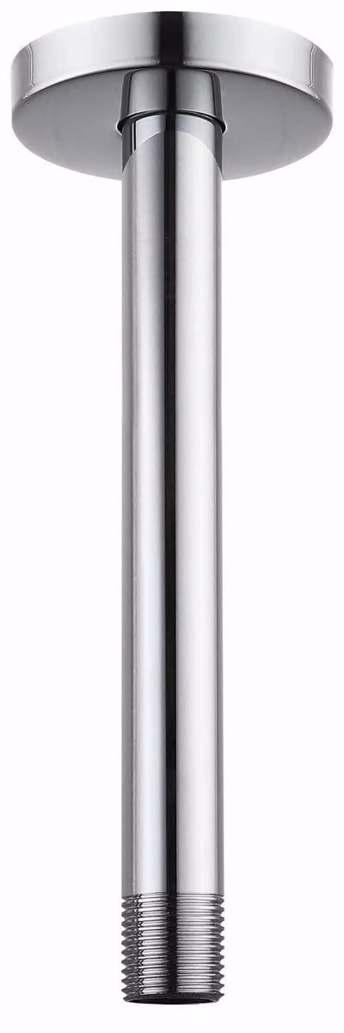 Collettore per doccia con flangia, da montare a soffitto, diametro 25 cm, attacco 1/2 NPT, acciaio inossidabile