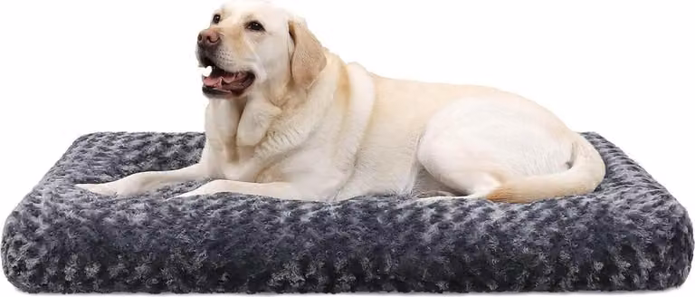 Letto per cani Grandi cani Cuscino lavabile per cani Tappetino per cani grandi di media taglia antiscivolo traspirante Letto per cani Materasso per cani 90x60cm