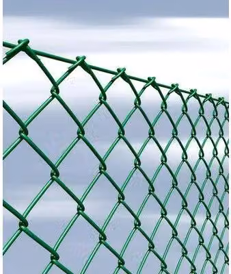 Rete Griglia Plasticata Margherita Cavatorta Mm 2,5 mm 50X50 L.25 m H.cm