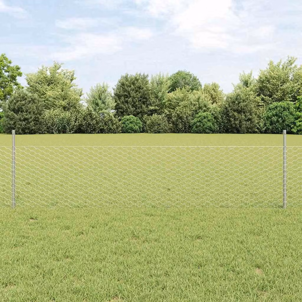 Recinzione in Rete Saldato 10 x 0,5 m (L x H)