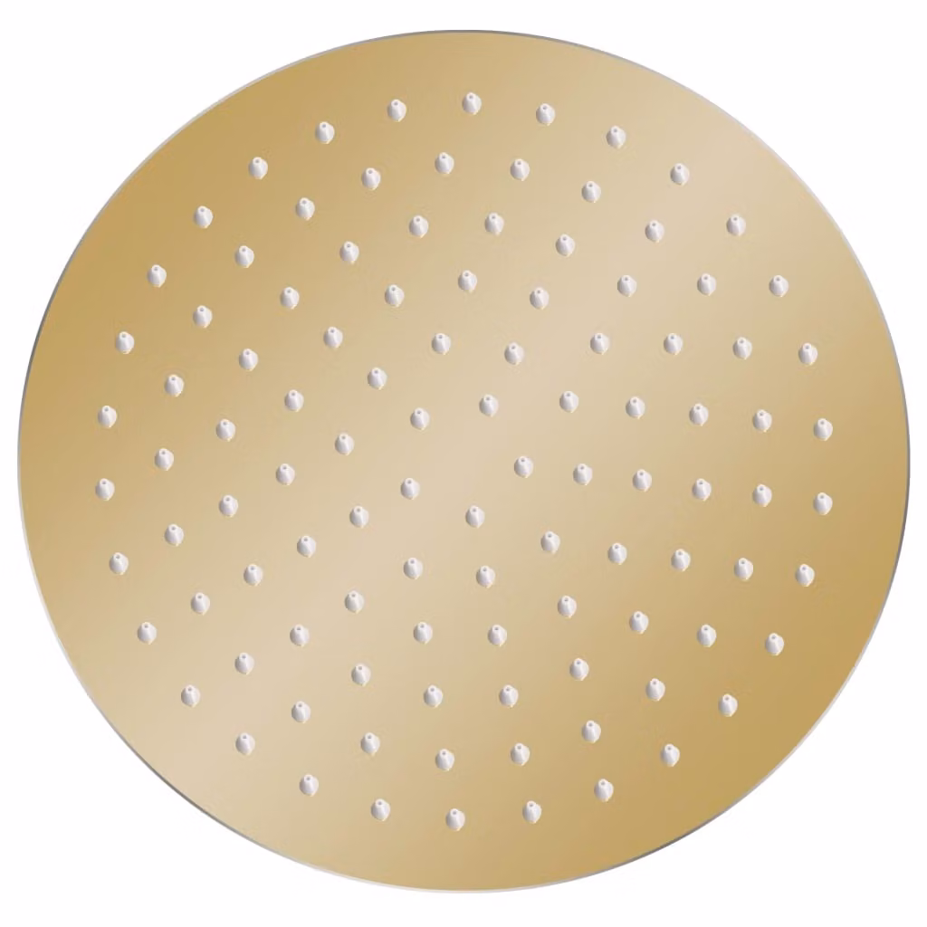 vidaXL Doccia a pioggia in acciaio inox 25 cm rotonda Golden