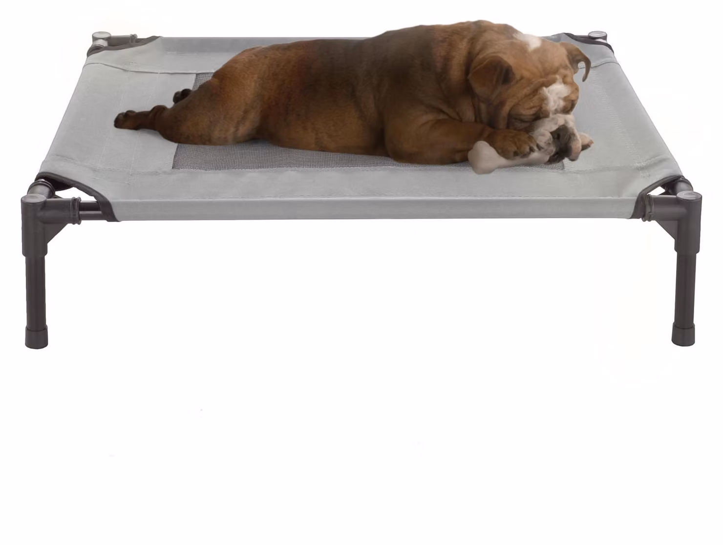 Omgoods - Cuccia rialzata per cani con base antiscivolo, dimensioni 30 x 24 x 7 pollici