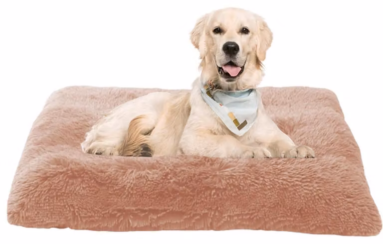 Materassino per cani, cuccia per gatti, divano per cani, cuscino per cani, cesta per cani, tappetino per cani, dimensioni 70x50x8 cm, colore rosa, lavabile